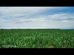 스마트 전기 선형 액추에이터